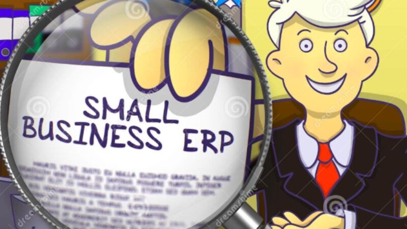 Four Requirements For Small Business ERP Software
