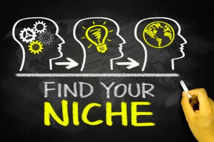 How Vital Are Niche Sites In 2021